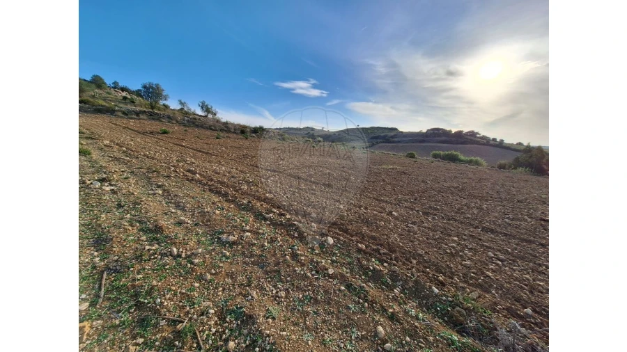 Terreno para Venda em Santiago dos Velhos Foto 1