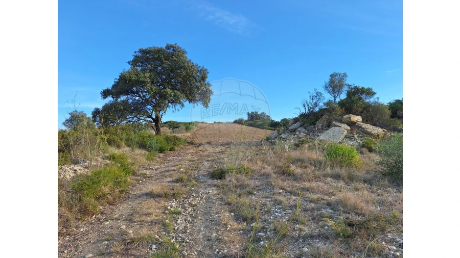 Terreno para Venda em Santiago dos Velhos Foto 21