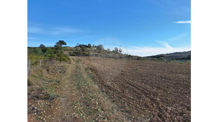 Terreno para Venda em Santiago dos Velhos Foto 13