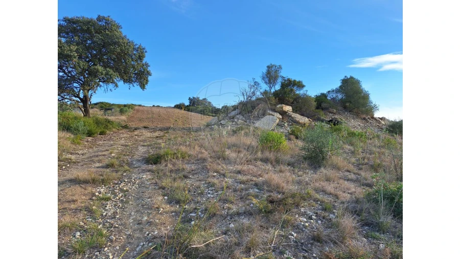 Terreno para Venda em Santiago dos Velhos Foto 20