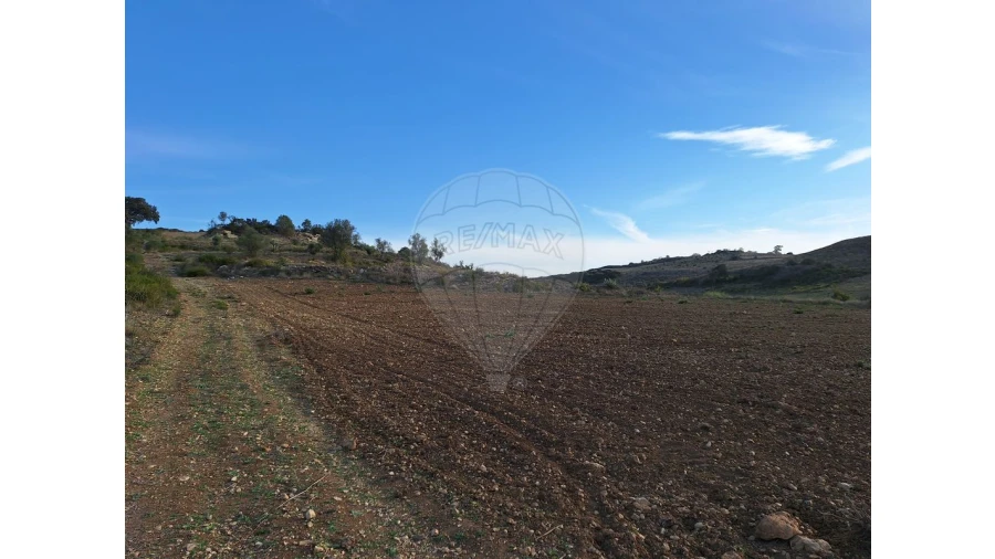 Terreno para Venda em Santiago dos Velhos Foto 10