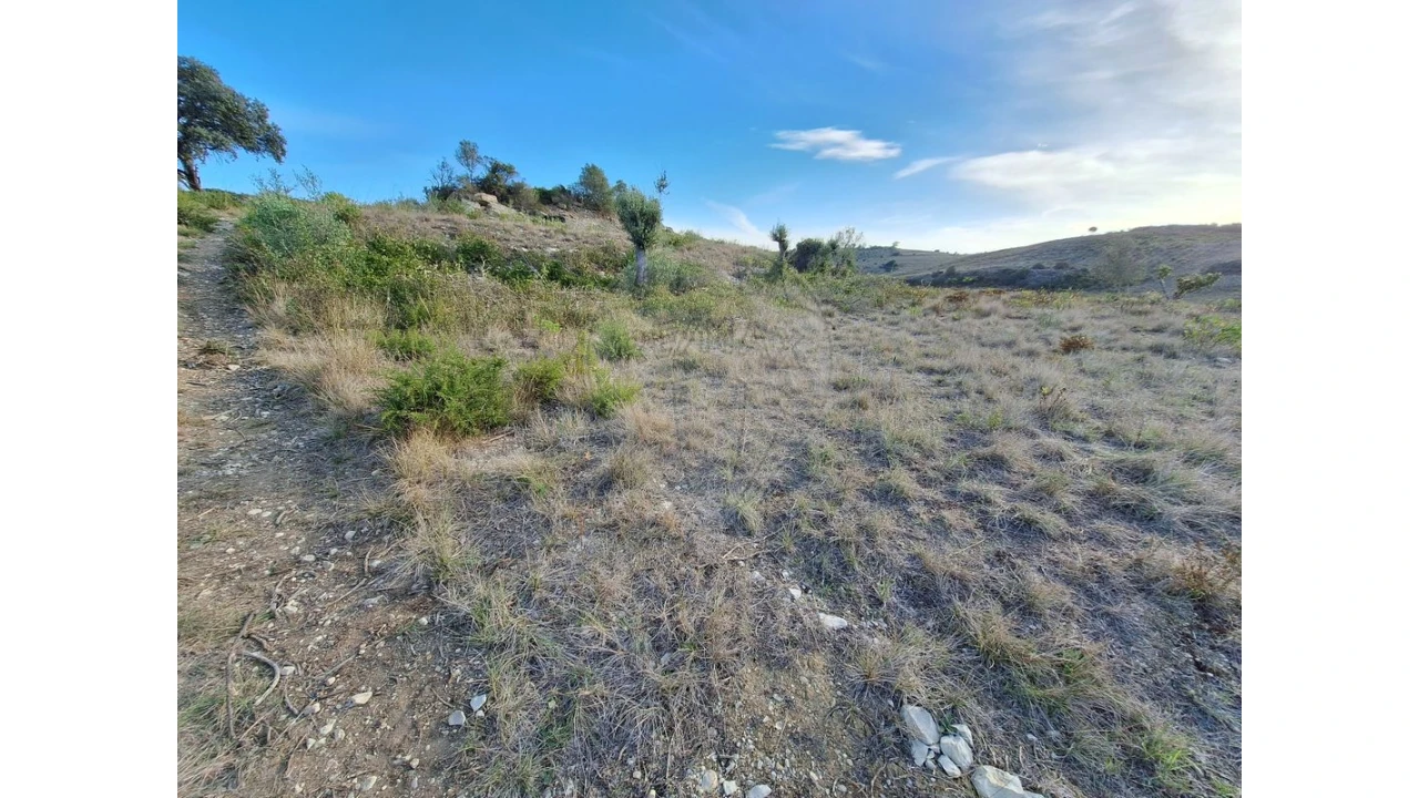 Terreno para Venda em Santiago dos Velhos Foto 17