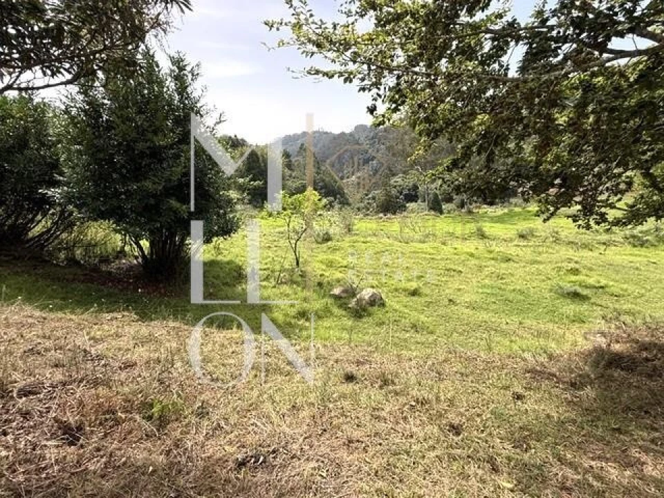 Terreno para Venda em Santo Antonio da Serra Foto 9