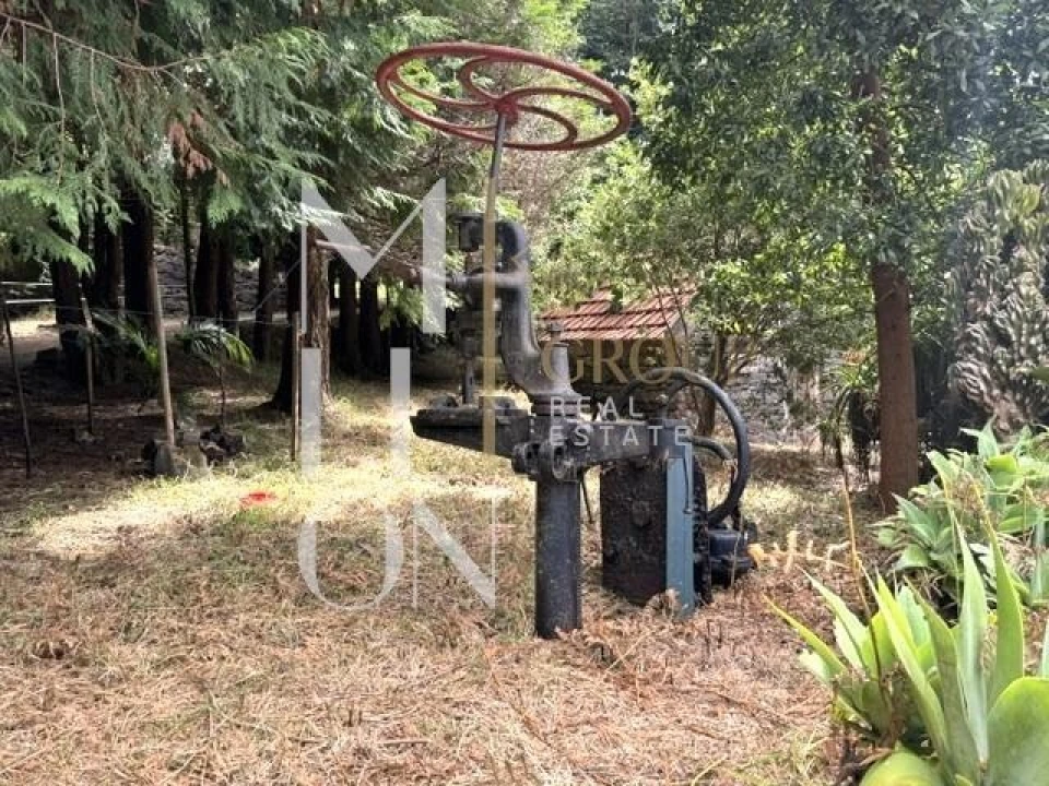 Terreno para Venda em Santo Antonio da Serra Foto 11