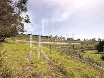 Terreno para Venda em Santo Antonio da Serra