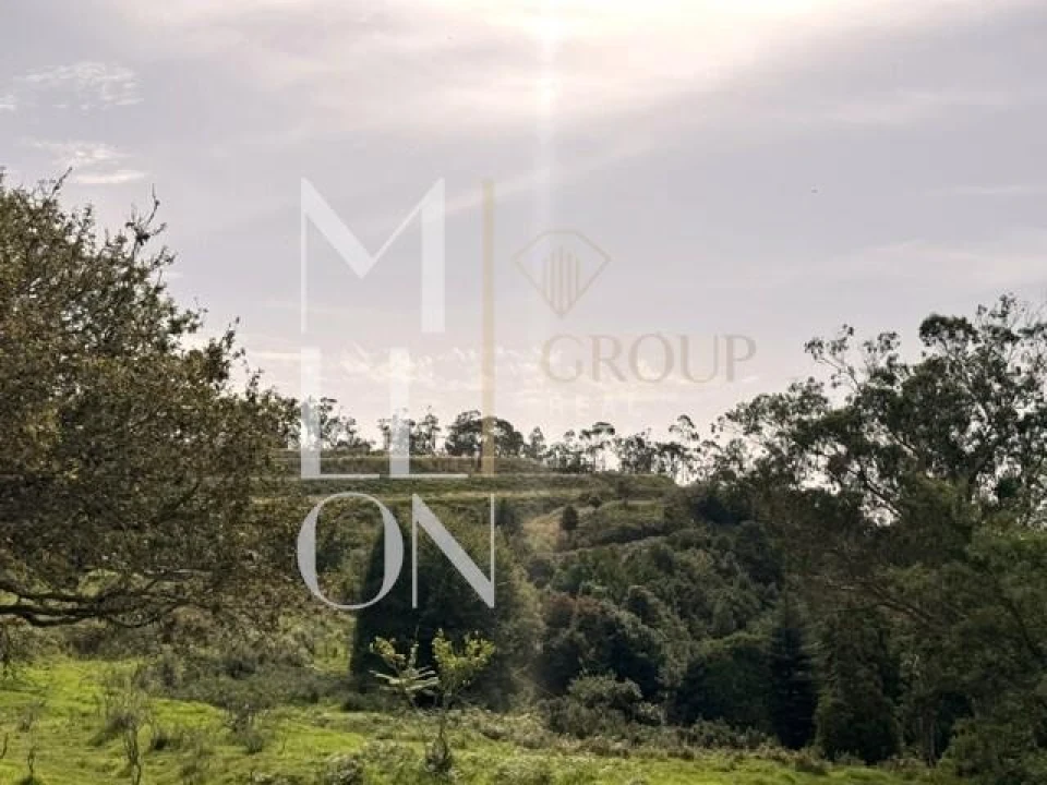 Terreno para Venda em Santo Antonio da Serra Foto 7