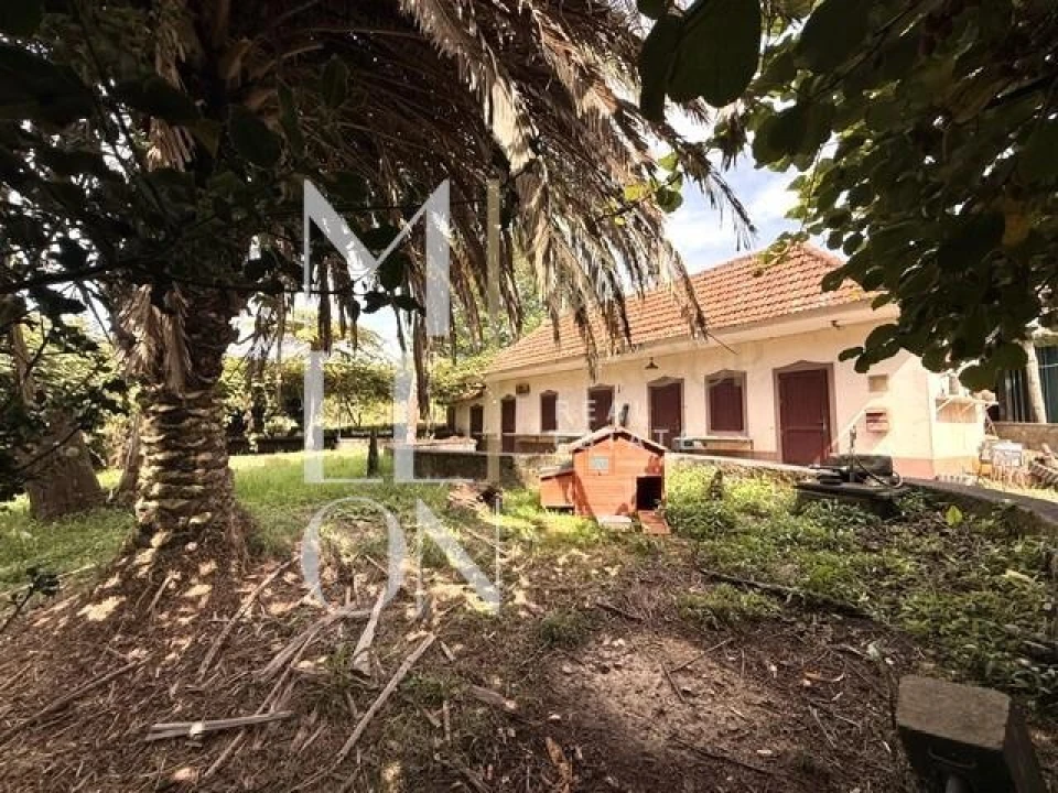 Terreno para Venda em Santo Antonio da Serra Foto 20