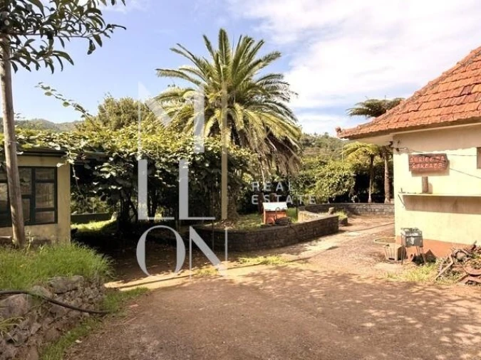 Terreno para Venda em Santo Antonio da Serra Foto 19