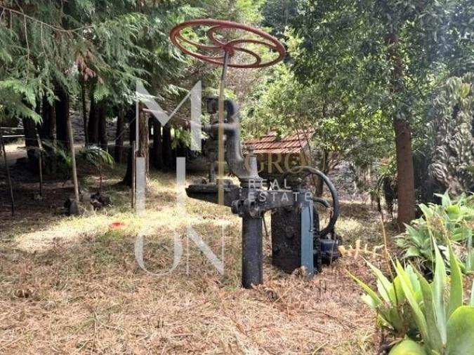 Terreno para Venda em Santo Antonio da Serra Foto 11