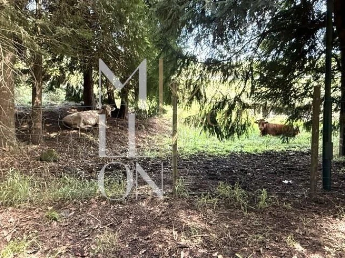 Terreno para Venda em Santo Antonio da Serra Foto 17