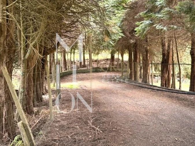 Terreno para Venda em Santo Antonio da Serra Foto 18