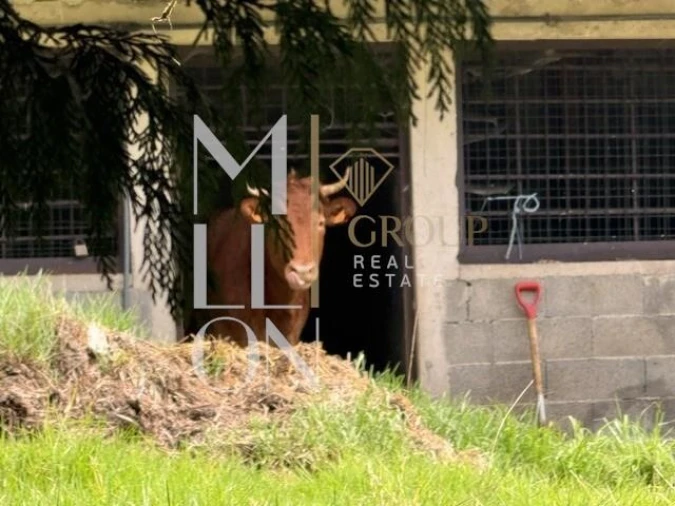 Terreno para Venda em Santo Antonio da Serra Foto 16