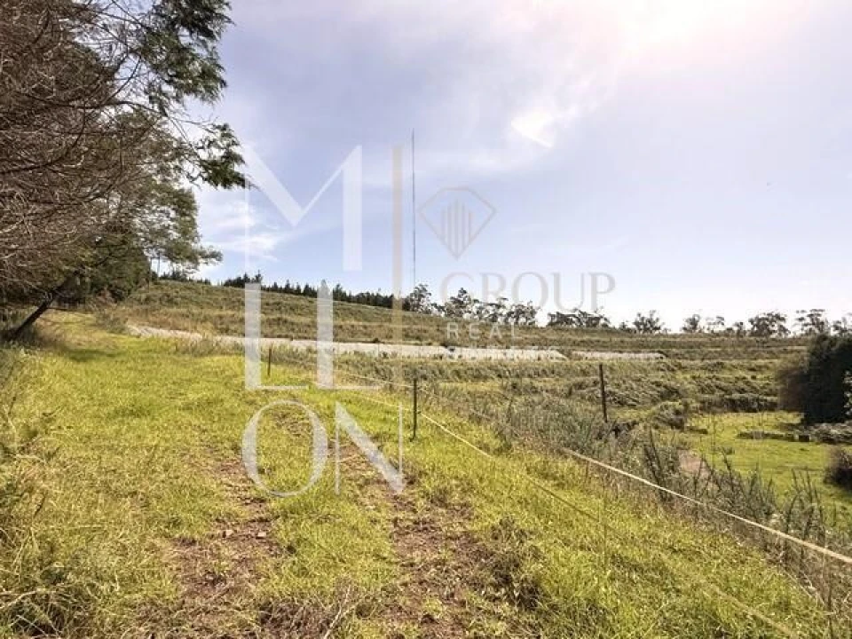 Terreno para Venda em Santo Antonio da Serra Foto 28