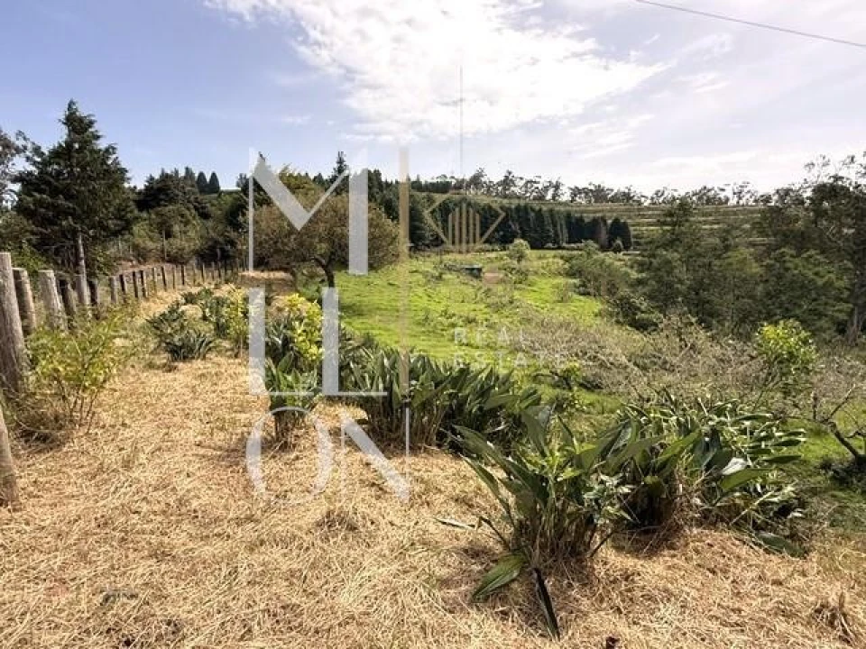 Terreno para Venda em Santo Antonio da Serra Foto 6