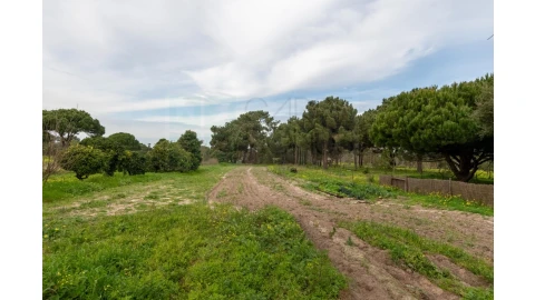 Moradia T4 para Venda em Sesimbra (Castelo)