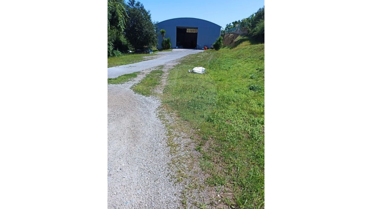 Terreno para Venda em Arentim e Cunha Foto 3