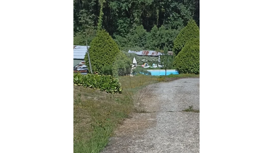 Terreno para Venda em Arentim e Cunha Foto 2