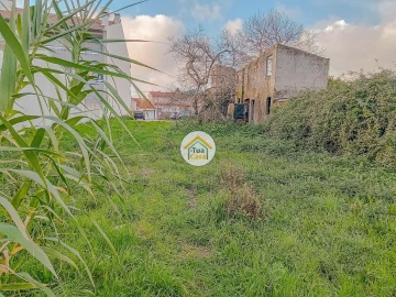 Terreno para Venda em Ílhavo (São Salvador)