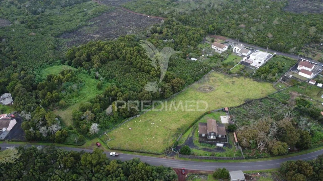 Terreno para Venda em Madalena Foto 9