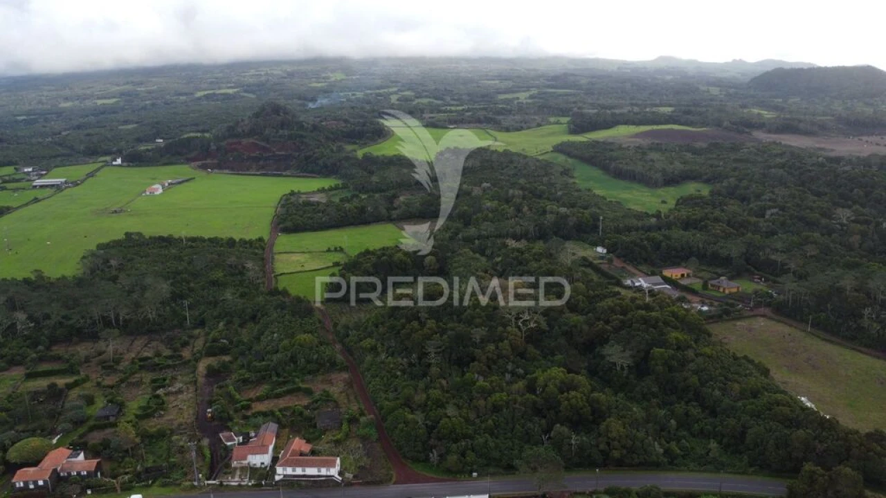 Terreno para Venda em Madalena Foto 7