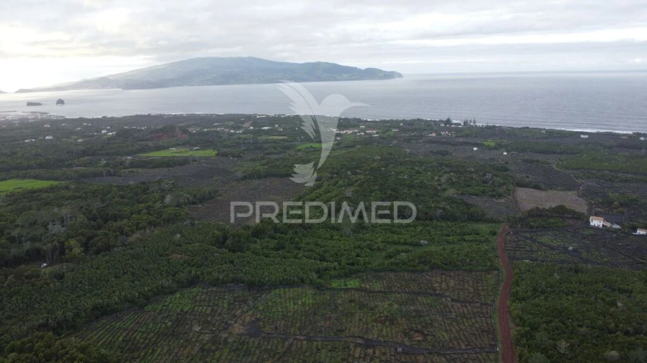 Terreno para Venda em Madalena Foto 16