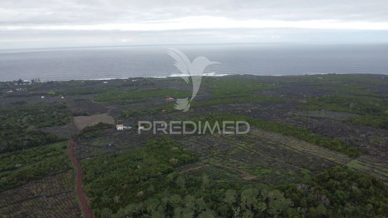 Terreno para Venda em Madalena Foto 11