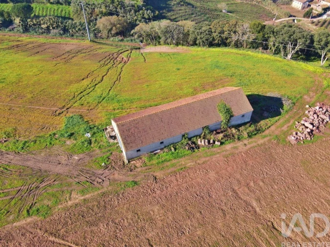 Moradia para Venda em Peral Foto 26