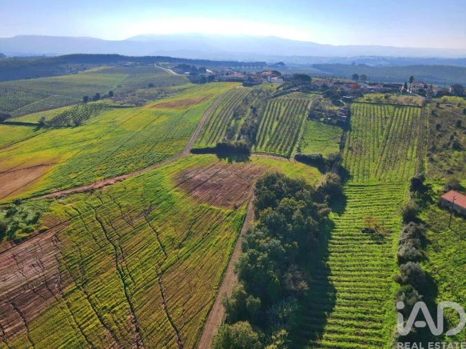 Moradia para Venda em Peral Foto 30