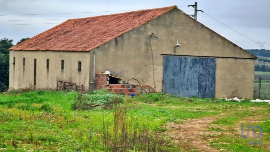 Moradia para Venda em Peral Foto 15