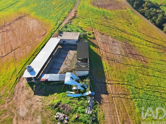 Moradia para Venda em Peral Foto 27