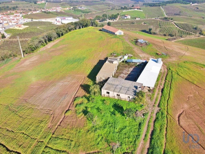 Moradia para Venda em Peral Foto 3