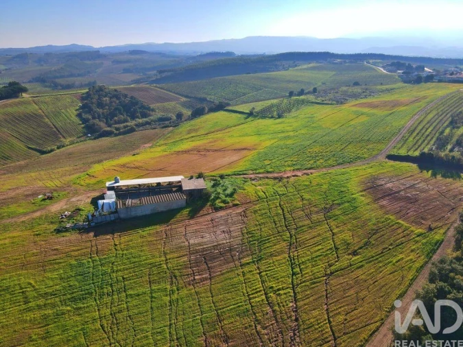 Moradia para Venda em Peral Foto 29