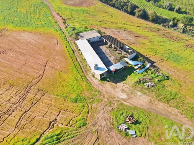 Moradia para Venda em Peral Foto 28