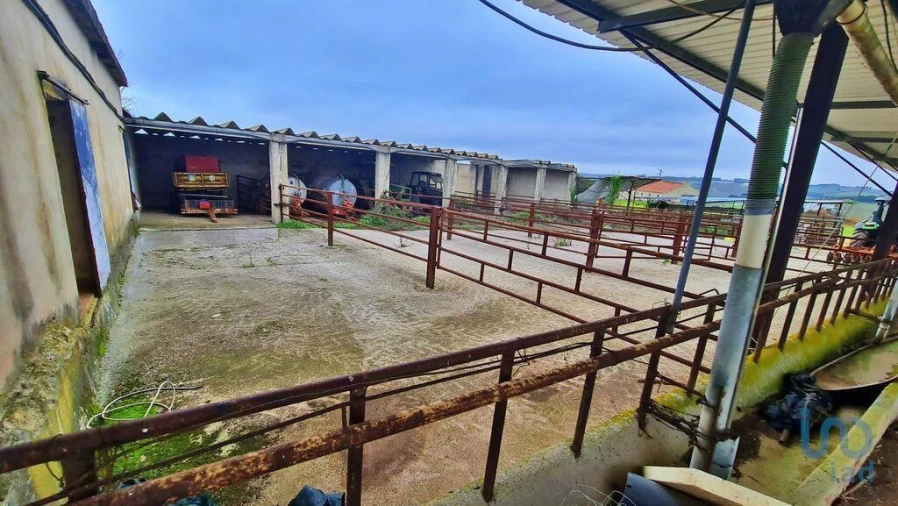 Moradia para Venda em Peral Foto 9