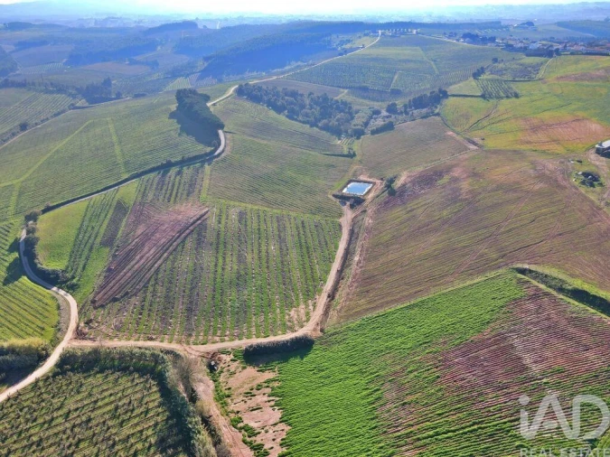Moradia para Venda em Peral Foto 24