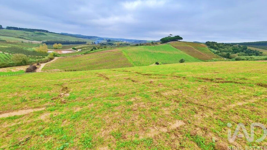 Moradia para Venda em Peral Foto 16
