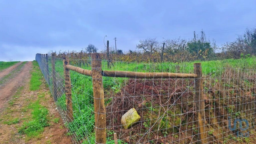 Moradia para Venda em Peral Foto 10