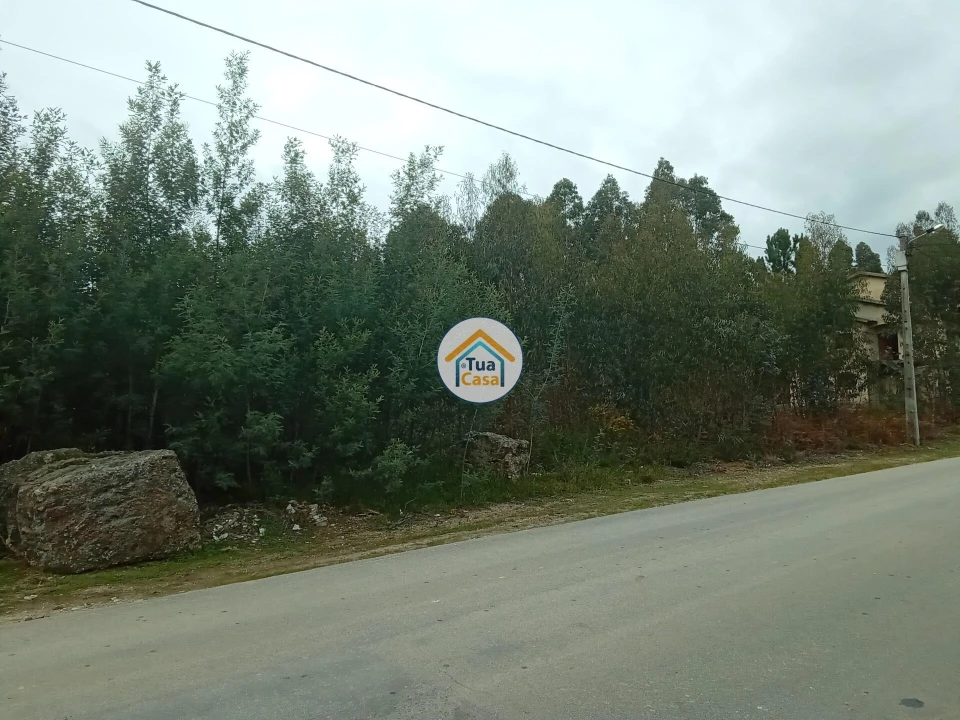 Terreno para Venda em Águeda e Borralha Foto 11