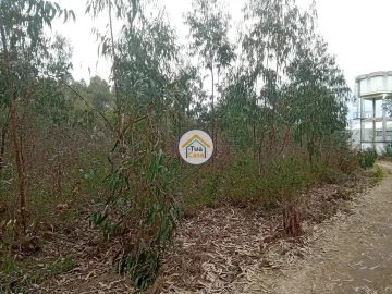 Terreno para Venda em Águeda e Borralha