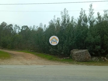 Terreno para Venda em Águeda e Borralha