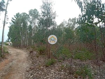 Terreno para Venda em Águeda e Borralha