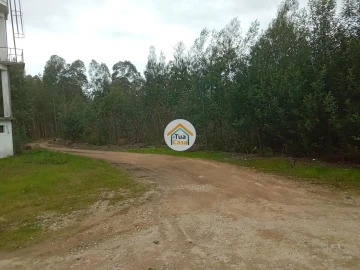 Terreno para Venda em Águeda e Borralha