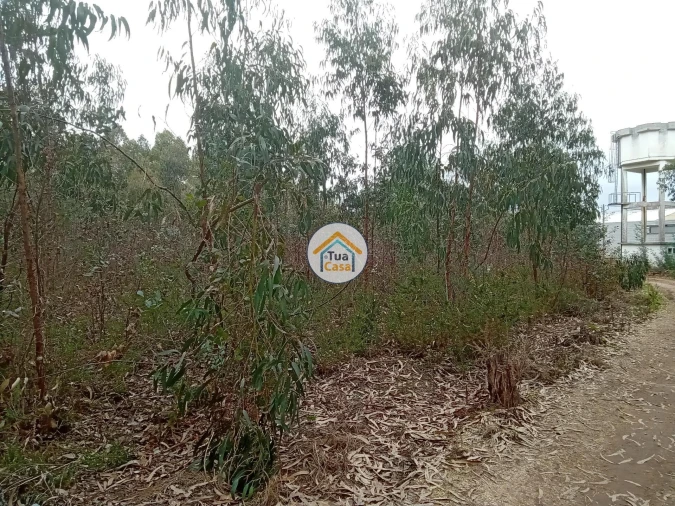 Terreno para Venda em Águeda e Borralha Foto 14