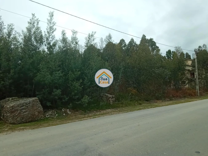 Terreno para Venda em Águeda e Borralha Foto 11