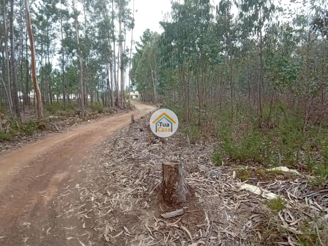 Terreno para Venda em Águeda e Borralha Foto 3