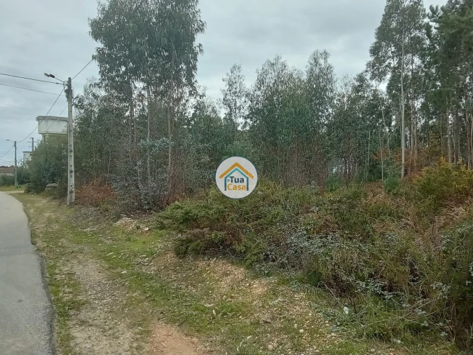 Terreno para Venda em Águeda e Borralha Foto 7