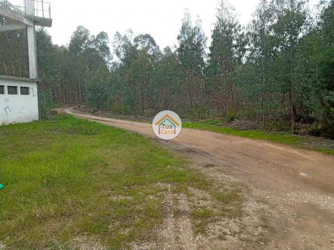 Terreno para Venda em Águeda e Borralha Foto 9