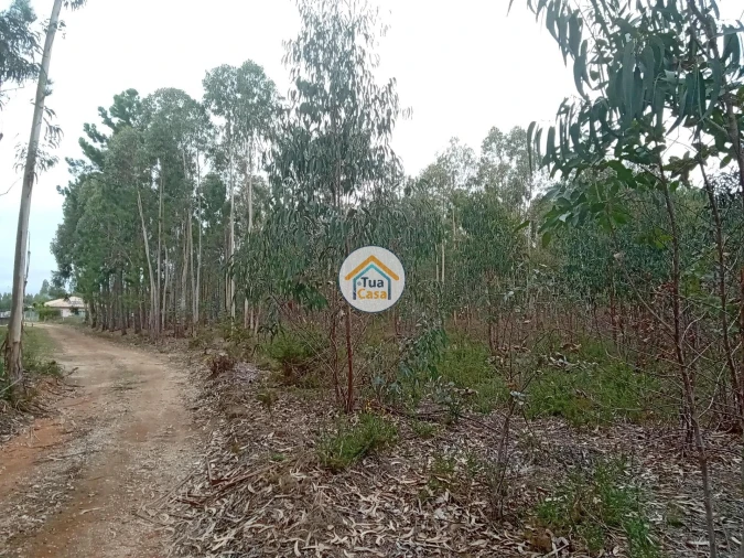 Terreno para Venda em Águeda e Borralha Foto 15