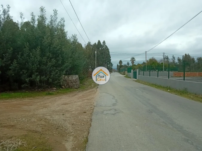 Terreno para Venda em Águeda e Borralha Foto 10