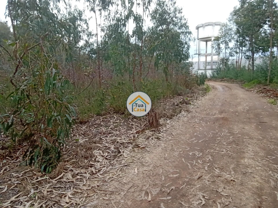 Terreno para Venda em Águeda e Borralha Foto 1